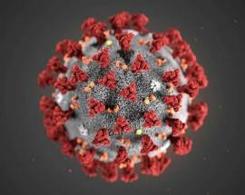 CORONAVIRUS: ALLERTA FDA SU TEST SIEROLOGICI DA FARE A CASA