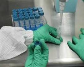 CORONAVIRUS: VACCINO COSTA 900 MILIONI DI DOLLARI, PRESTO I TEST SU UOMO