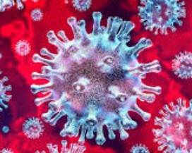 CORONAVIRUS: ESPERTI PUNTANO SU ANTICORPI DI PRECISIONE