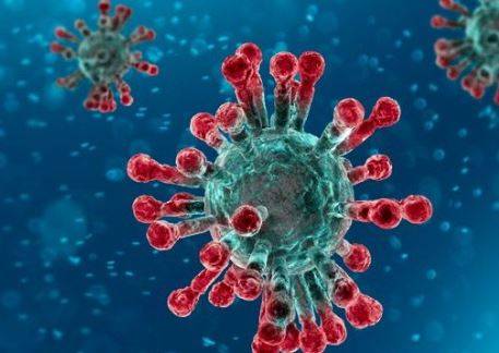 CORONAVIRUS: DAGLI ANTICORPI SARS UN PERCORSO PER LA CURA, AL VIA STUDIO