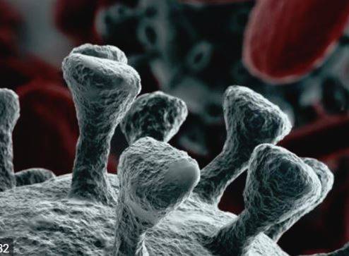 CORONAVIRUS, COSA C’E DA SAPERE: MERCOLEDI’ CONVEGNO DELL’UNIVAQ