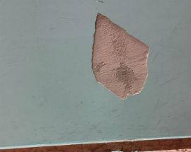 TERREMOTO: AL LICEO COTUGNO DELL’AQUILA CREPE E CALCINACCI MA SI FA LEZIONE