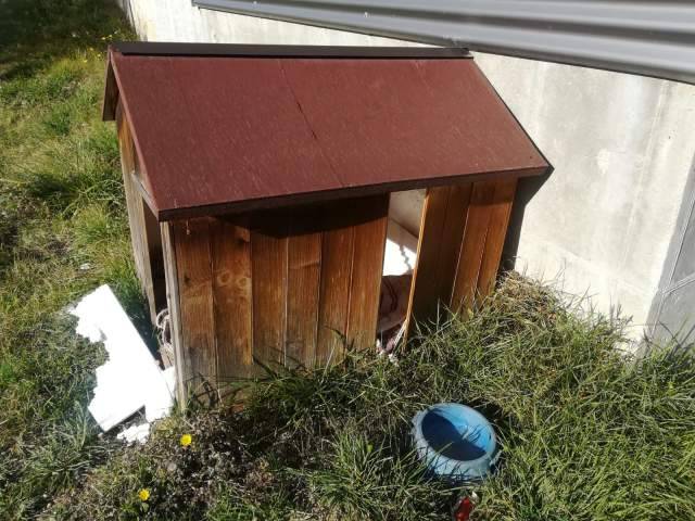 L’AQUILA: DIVELTA CUCCIA CANE DI QUARTIERE COPPITO 3, APPELLO AL COMUNE