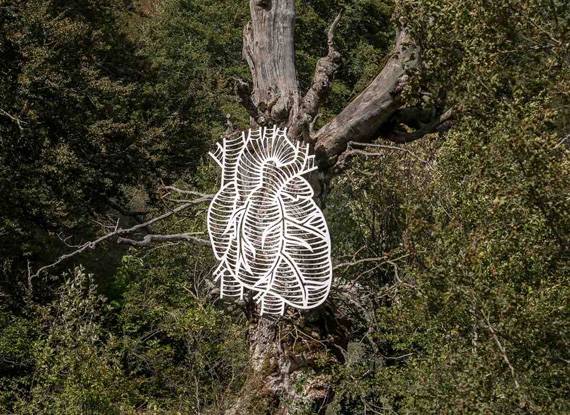 ARTE CONTEMPORANEA NEL PARCO NAZIONALE D’ABRUZZO CON IL CUORE ANIMALE E VEGETALE DI MARCANTONIO