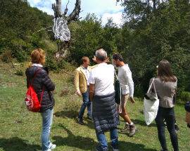 ARTE E NATURA: UN CUORE TRA LE FAGGETE VETUSTE DEL PARCO D’ABRUZZO