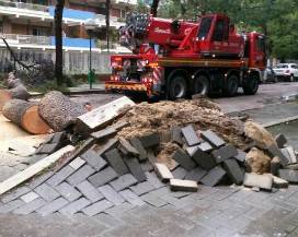 ALBERI E SICUREZZA: SEMINARIO AL COMANDO DEI VIGILI DEL FUOCO DI PESCARA