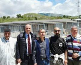ELEZIONI AVEZZANO: DE ANGELIS, ”TEMA RANDAGISMO NON HA SPAZIO, VA AFFRONTATO”
