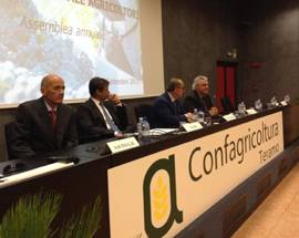 AGRICOLTURA: DE CASTRO, ‘NON BASTA QUALITA’, SERVE ORGANIZZAZIONE’
