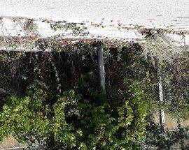 L’AQUILA: LA DENUNCIA, ”DEGRADO E ABBANDONO IN VIA CARDUCCI A PETTINO”