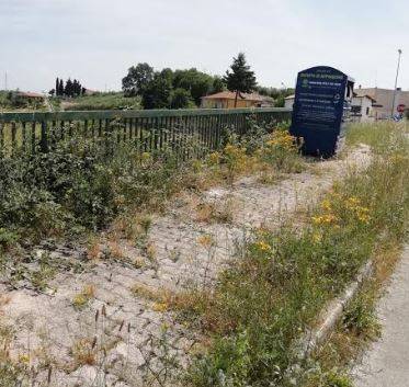 COLOGNA: ROSETO AL CENTRO, ”REGNANO DEGRADO E ABBANDONO”