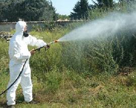 L’AQUILA: FINESTRE CHIUSE PER DEMUSCAZIONE, IL CALENDARIO COMPLETO