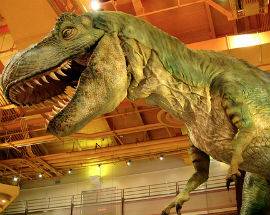 TROVATE TRACCE DINOSAURI CHE CAMMINAVANO SUI CARBONI ARDENTI