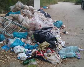 DISCARICA ABUSIVA CANILE COMUNALE DI CHIETI: IN ARRIVO FOTOTRAPPOLE