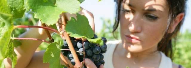 AUMENTANO LE DONNE TITOLARI DI IMPRESE AGRICOLEE IN ABRUZZO