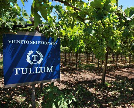 VINI D’ABRUZZO: LA DOP TULLUM DIVENTA DOCG, ”UN SUCCESSO PER IL TERRITORIO”