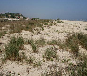 ORTONA: MOBILITAZIONE PER DIFEDERE LE DUNE DI POSTILLI-RICCIO