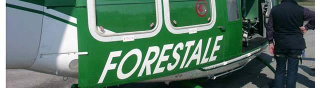 PESCARA: FORESTALE SEQUESTRA DOCUMENTI IN ATO, C’E’ ANCHE DELIBERA PRESIDENTE ACA