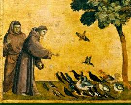 LIBRI: PRESENTAZIONE A COLLECORVINO DI ”PER FRANCESCO CHE ILLUMINA LA NOTTE”