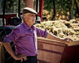 VINITALY: A EMIDIO PEPE IL PREMIO ”TALENTI E IMPRESE”, ”DEDIZIONE ALLA TERRA”