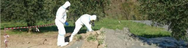 AIR GUN E TERREMOTI LONTANI CORRELATI, LE TEORIE DEL WEB PAZZE MA NON TROPPO