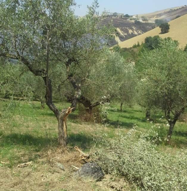 ESPLOSIONE FABBRICA ‘BOTTI’: BLOCCHI DI CEMENTO DA 10 CHILI VOLATI FINO A 800 METRI DI DISTANZA