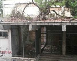 PESCARA IN TESTA, ”SUBITO LA RIQUALIFICAZIONE DELL’EX SCUOLA MUZI”