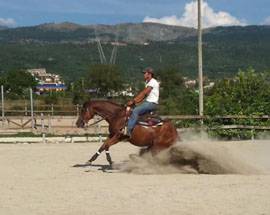 COWBOY AQUILANO, OTTIMA GARA CONTRO I ‘GRANDI’ CAVALIERI, ORA IL ‘FUTURITY’