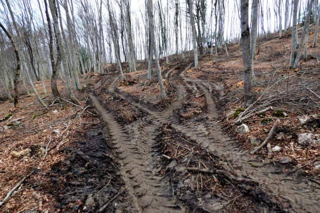TRATTORI TRA FAGGETE PARCO MAJELLA, ESPOSTO ASSOCIAZIONE AMBIENTALISTA