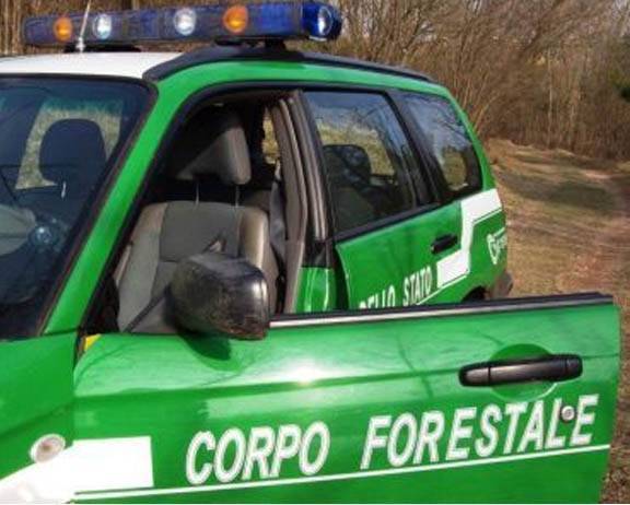 TAGLIO ABUSIVO BOSCHI, SEI DENUNCIATI NEL CHIETINO