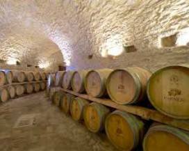 FARNESE GROUP: AL COLOSSO DEL VINO ABRUZZESE IL PREMIO BEST MANAGED COMPANIES