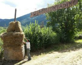 RESILIENZA SOLIDALE A TORNIMPARTEPER LA QUARTA FESTA DEL CONTADINO