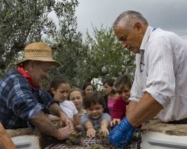 ORTONA: FESTA IN VIGNA PER LA RACCOLTA DEL MONTEPULCIANO D’ABRUZZO