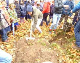 A PESCASSEROLI TORNA LA FESTA DEGLI ALBERI: STUDENTI PIANTANO ARBUSTI