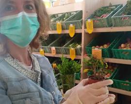 FESTA DELLA MAMMA: UNA PIANTINA IN DONO NEI MERCATI DI CAMPAGNA AMICA