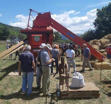 L’AQUILA: AD ARAGNO SUCCESSO PER LA PRIMA FESTA DELLA MIETITURA