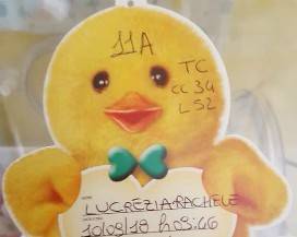 CHIETI: E’ NATA OGGI LA FIGLIA DEL SINDACO DI PRIMIO, ”GIOIA ALLO STATO PURO”
