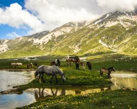 TURSIMO E CULTURA: LA FILM COMMISSION ABRUZZO HA IL SUO SITO WEB