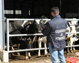 SISMA L’AQUILA: FONDI INDEBITI, DENUNCIATI 5 IMPRENDITORI, SEQUESTRI PER MEZZO MILIONE
