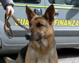DROGA, NIGERIANO RICHIEDENTE ASILO ARRESTATO A PESCARA