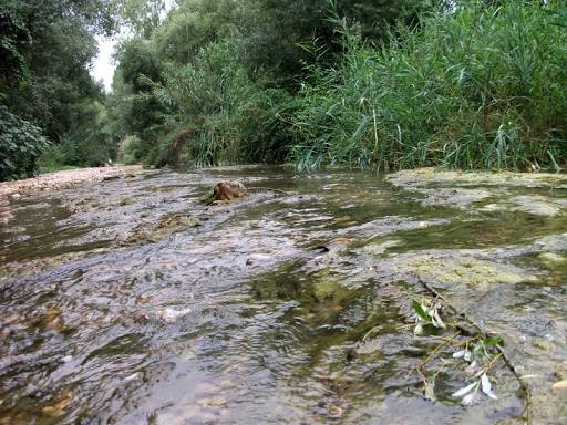 AREE PROTETTE: ISTITUITA LA RISERVA REGIONALE DEL FIUME NORA