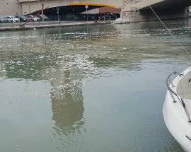 FIUME PESCARA: INIZIO LAVORI RIPULITURA PREVISTO PER FINE SETTEMBRE