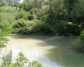 RISCHIO FIUME SALINE: COMUNE MONTESILVANO ALLERTA REGIONE