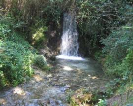 L’AQUILA: CITTADINI TEMPERA VS GESTIONE RISERVA NATURALE FIUME VERA, ”CRITICITA’ ENORMI”