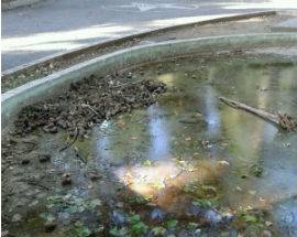 L’AQUILA: FONTANA DELLA VILLA COMUNALE NEL DEGRADO E NELLA SPORCIZIA
