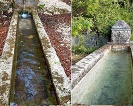FARE VERDE: ”NON RENDETE I FONTANILI COME VASCHE DA BAGNO SENZA VITA”