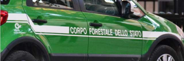 L’AQUILA: SEQUESTRATI RIFIUTI SPECIALI IN CANTIERE ANAS