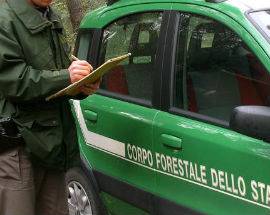 TRACCIABILITA’, SEQUESTRATIPRODOTTI SENZA GLUTINE