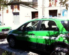 TERMOLI: CONTROLLI MERCATO, SEQUESTRATI 40 CHILI DI ALIMENTI