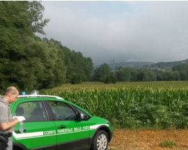 DISCARICA ABUSIVA SEQUESTRATA DALLA FORESTALE AD ARI