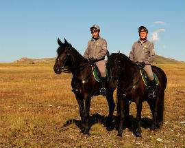 CAVALLI SENZA MICROCHIP, GIRO DI VITE DELLA FORESTALE NELL’AQUILANO